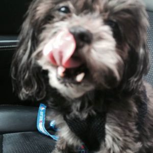 Meet your Posher, Christine